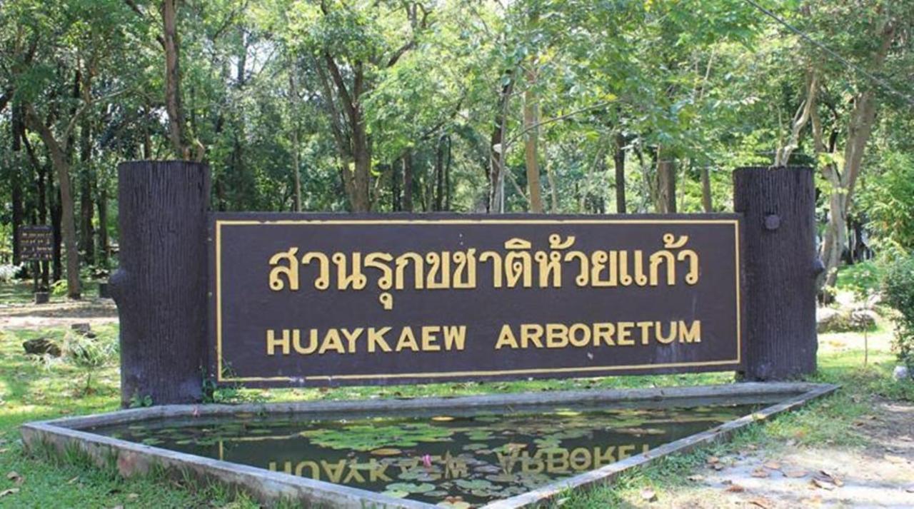 X Go Inn Chiang Mai University - Cmu Экстерьер фото